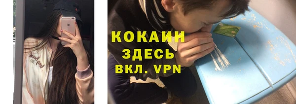 шишки Аркадак