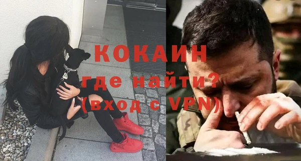 спайс Алзамай