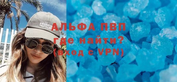 шишки Аркадак