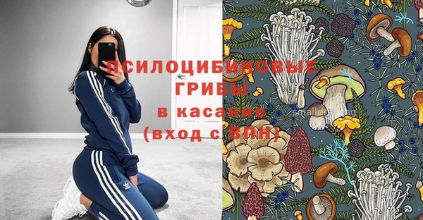 шишки Аркадак