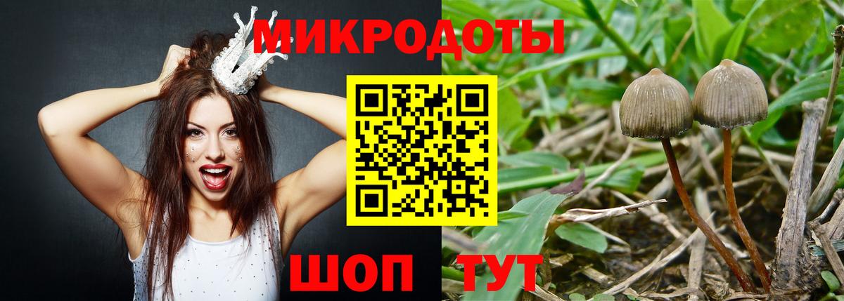 Псилоцибиновые грибы MAGIC MUSHROOMS  Вход с VPN  Асбест 